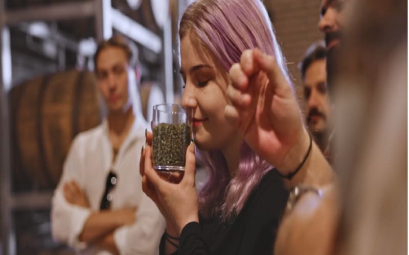Artisanal Gin Distillery Tasting Tour - main image