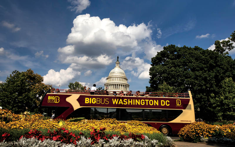 Washington DC Essential: 48-Hour Hop-on Hop-off Tour - main image