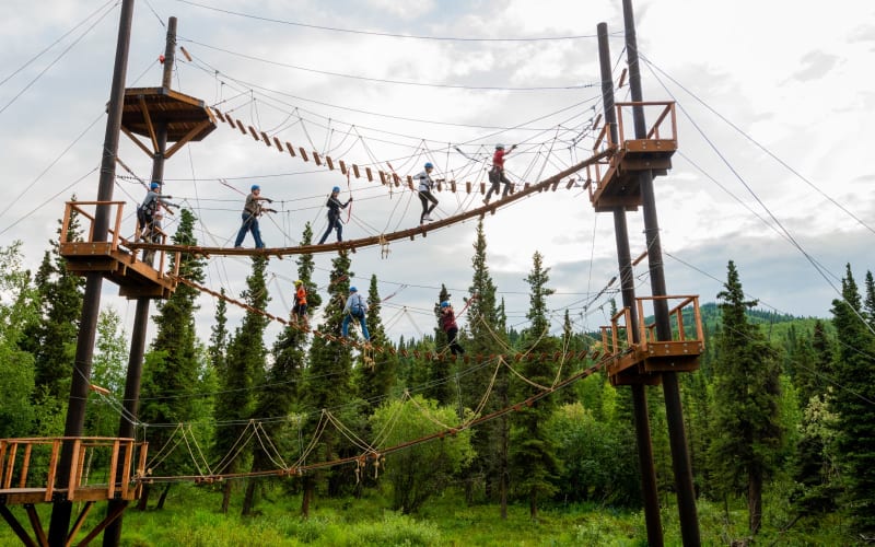 Zipline Adventure near Denali National Park - main image