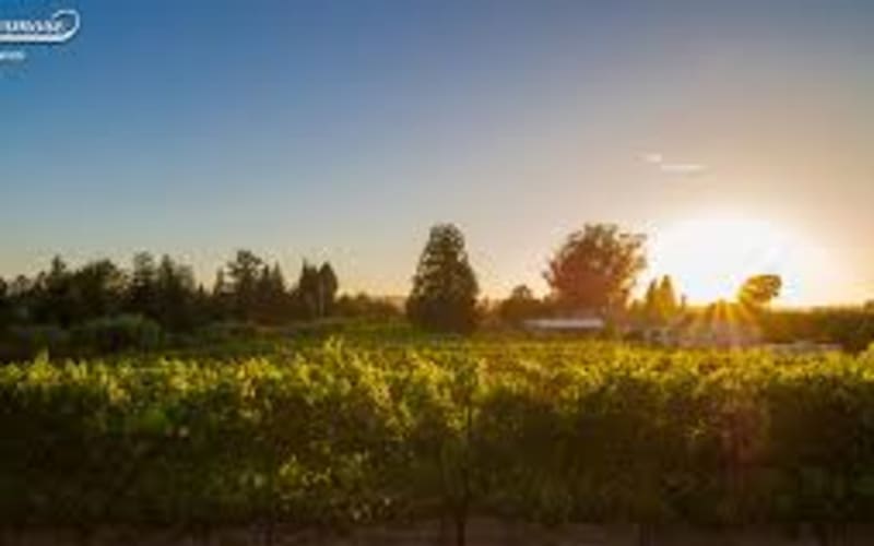  Furthermore Wines Sonoma Wine Tasting - main image