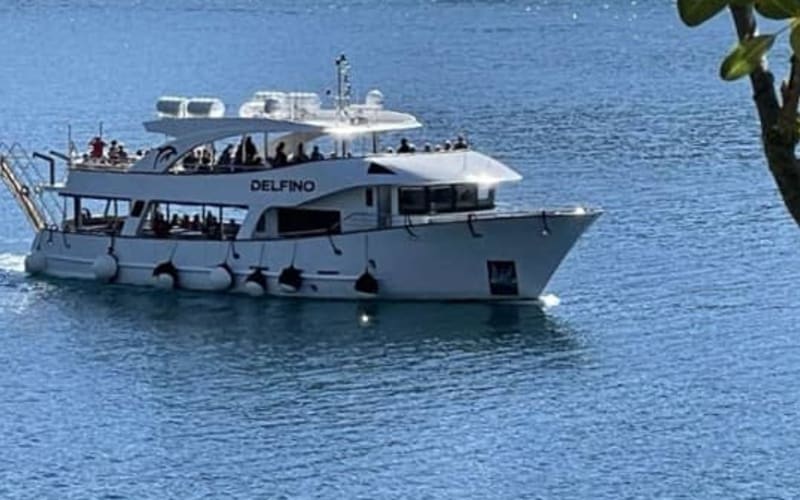 Rovinj: Delfine im Sonnenuntergang mit schönem neuen Schiff - main image