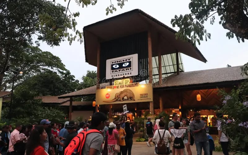 Night Safari Tickets - main image