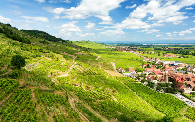France and Germany wine trip from Strasbourg (Private) - main image