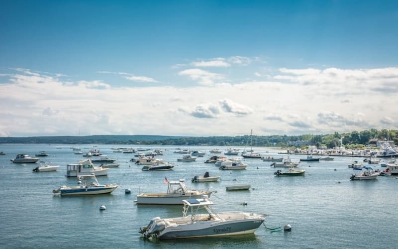 Plymouth Harbor Paddleboard Rental Experience - main image