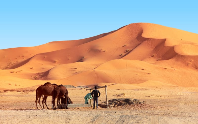 2 days tour from Fes to Merzouga desert - main image