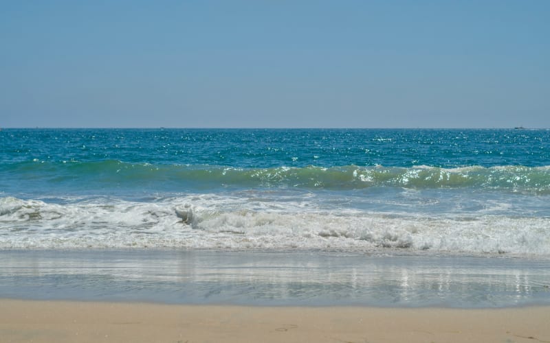 Cabo UTV Tour with Tequila Tasting & Mexican Buffet - main image