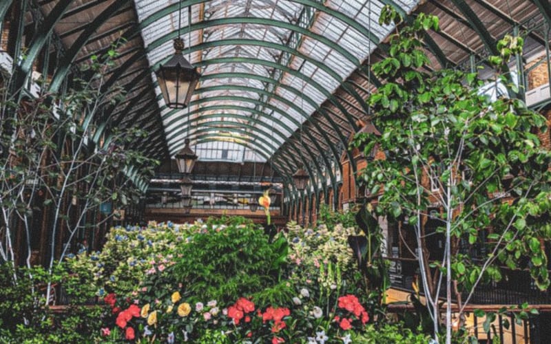 Covent Garden’s Hidden Gems - Self-Guided Audio Walking Tour - main image