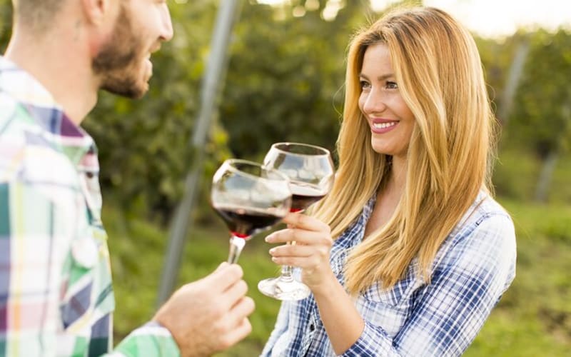 Half Day Paso Robles Wine Tasting Tour - main image