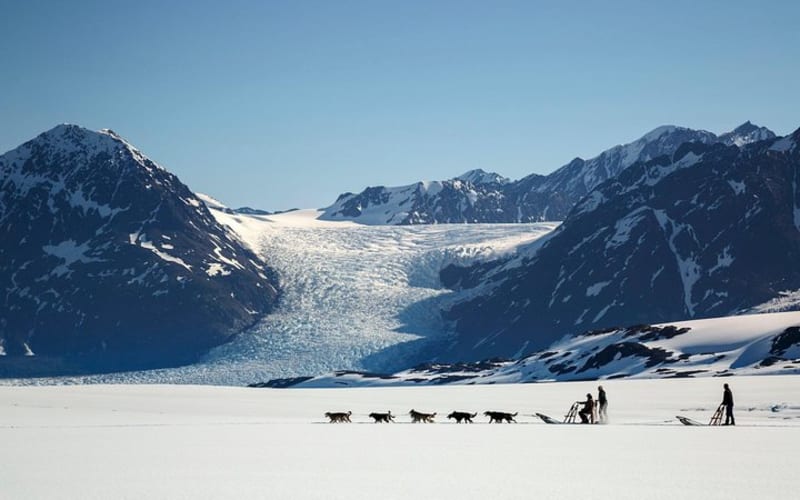Dogsled Helicopter Tour with Glacier Landing – Anchorage - main image