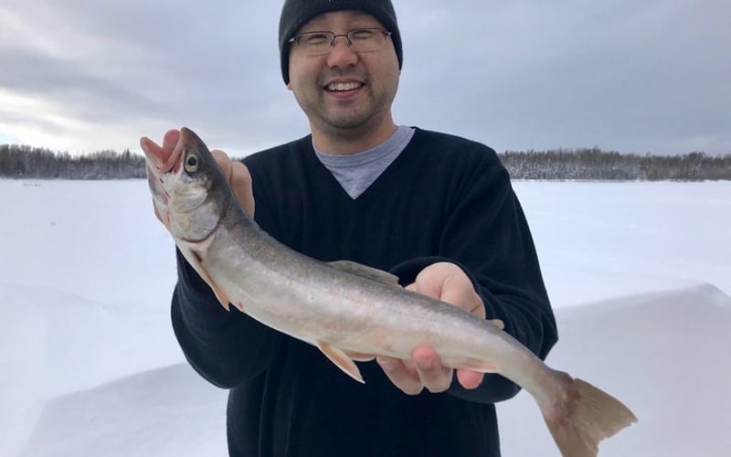 Fairbanks 4 Hr Ice Fishing Expedition  - main image
