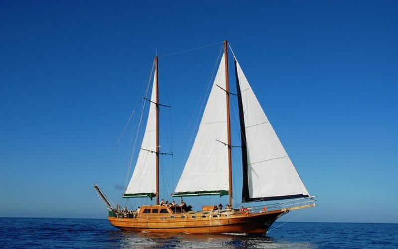 South Fuerteventura VIP Cruise on board a Turkish Gulet - main image