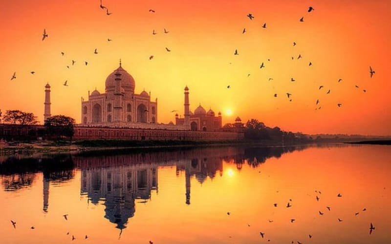 Private 1 day Sunrise Taj Mahal Tour (Same Day) - main image