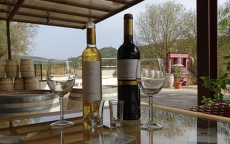 Arrábida Palmela Azeitão (Wine and Tapas) Private Tour - main image