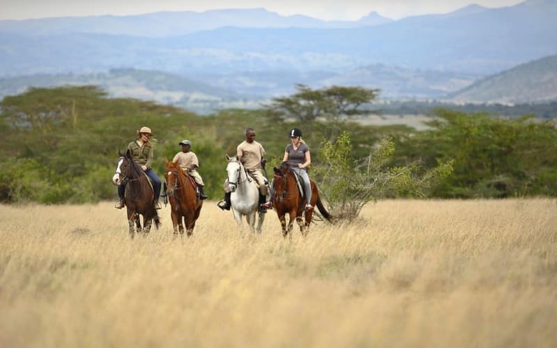 3-Day Luxury Rhino Safari at Solio Ranch & Aberdare National Park  - main image