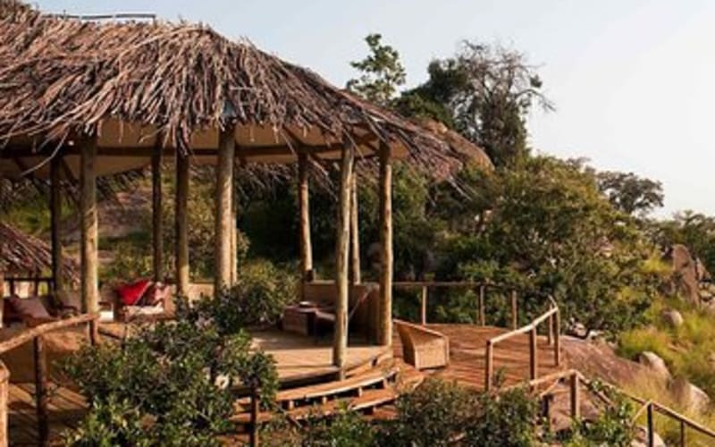 5 Days Tanzania Lodge Safari - main image