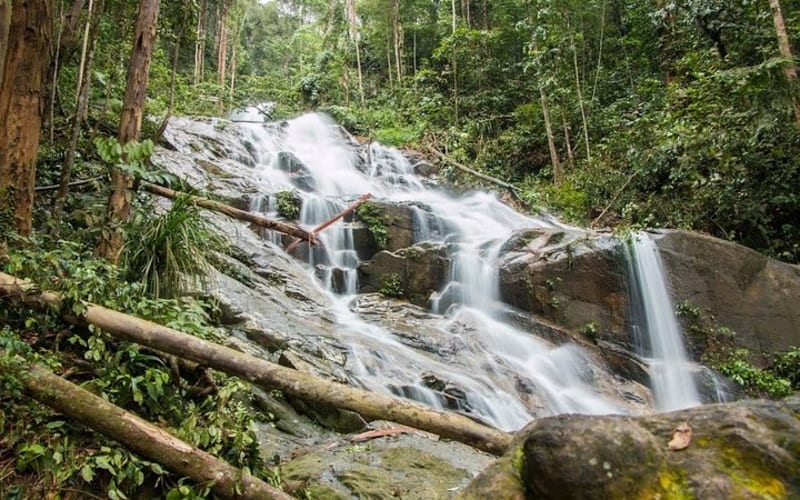 Templer’s Park Tour (SIC Tour) - main image