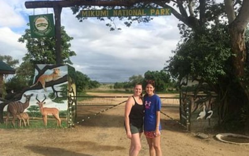 2 Days Best Safari to Mikumi National Park  - main image