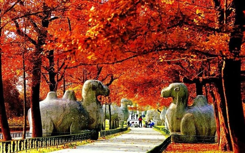 Nanjing City Private Customized Day Tour with Lunch - main image