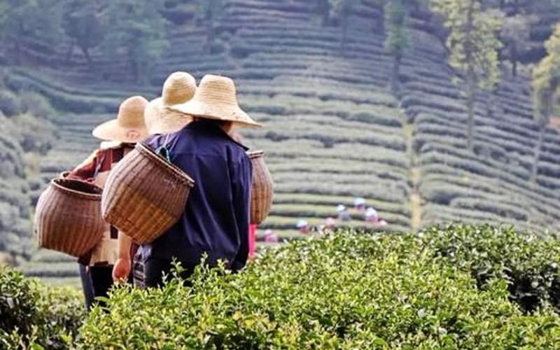 Hangzhou Private Day Tour from Nanjing by Bullet Train with Drop-off Option - main image