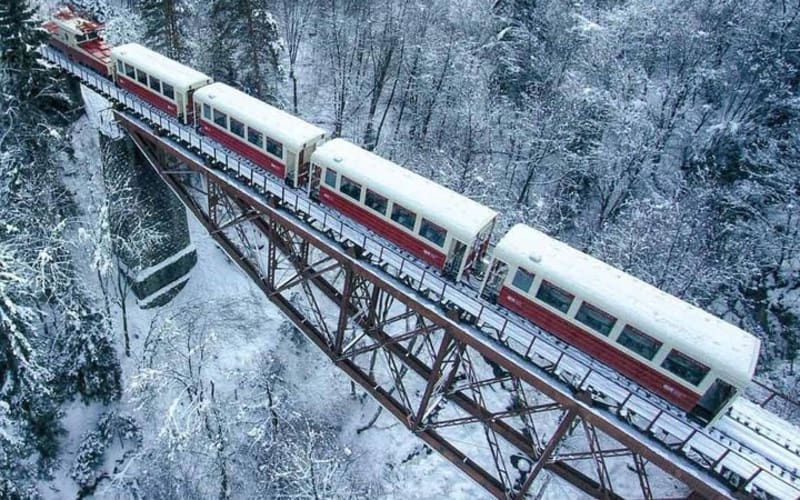 Borjomi & Bakuriani Day Trip - main image