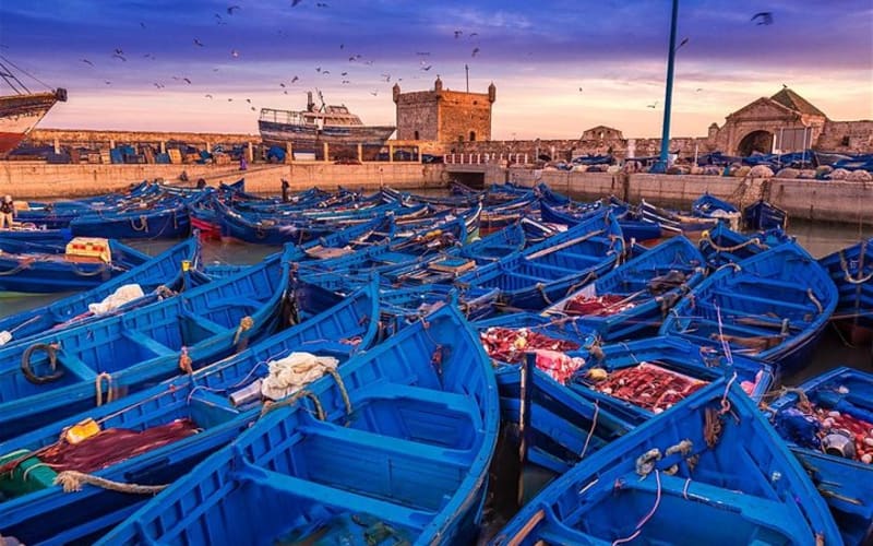 Essaouira Day Trip from Marrakech - main image