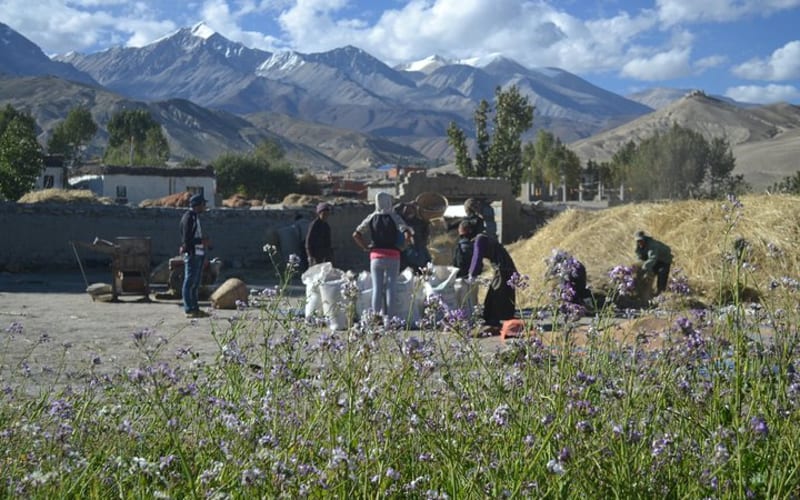 Upper Mustang Trek  - main image