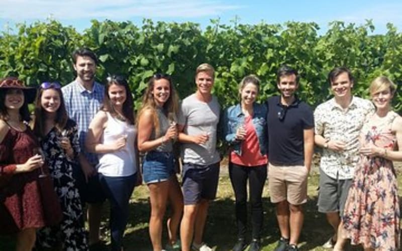 Afternoon Marlborough Wine Tour- "Wino's Tour" - main image
