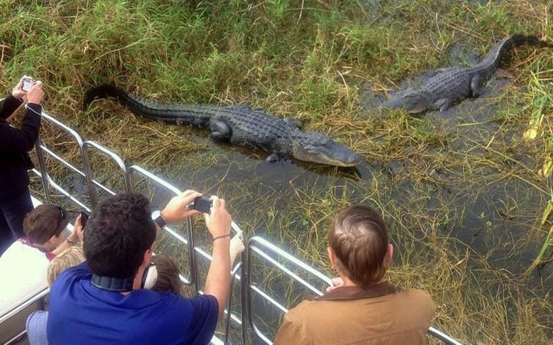 Central Florida Everglades Airboat Tour from Orlando - main image