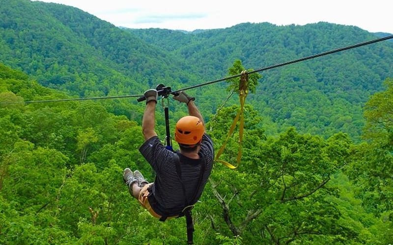 THE FOREST ZiPLiNiNG TOUR. - main image