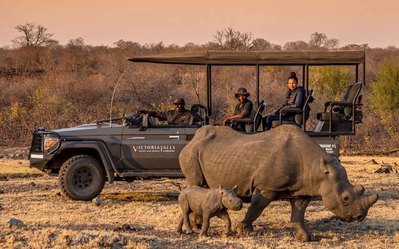 Victoria Falls: Night Game Drive and Bush Dinner - main image