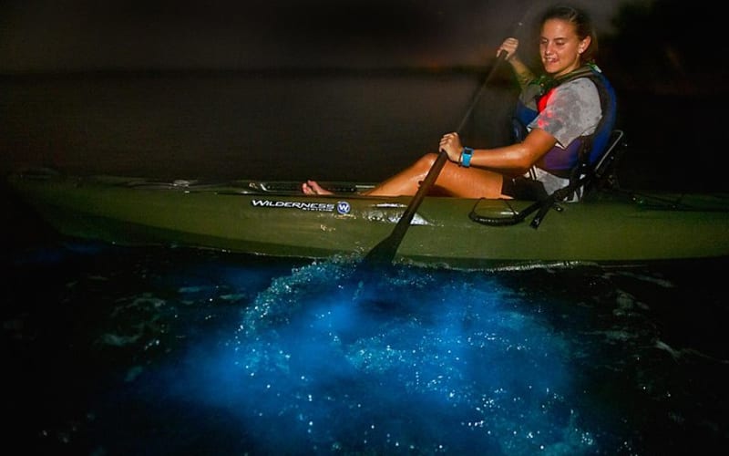 Bioluminescence Kayak Tour - main image