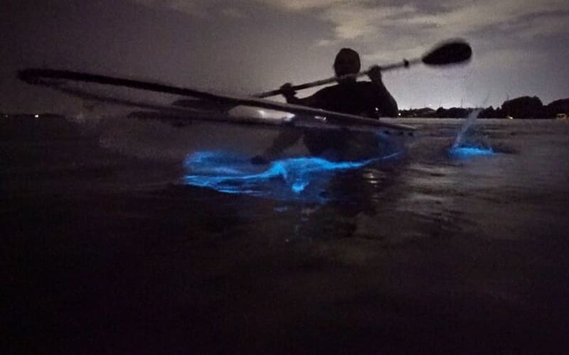 Clear Kayak Bioluminescence Tour - main image
