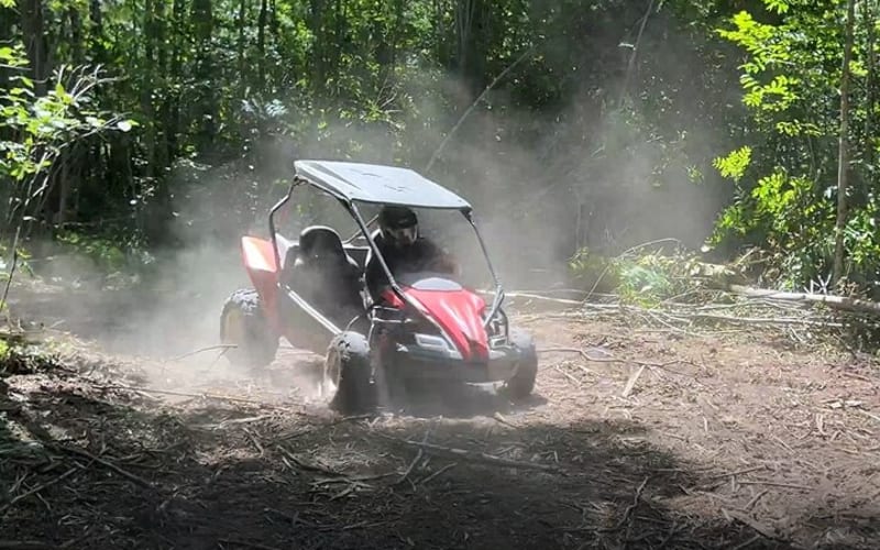 Duluth: Moose Lake: Triple Cross Dune Buggy Adventure - main image