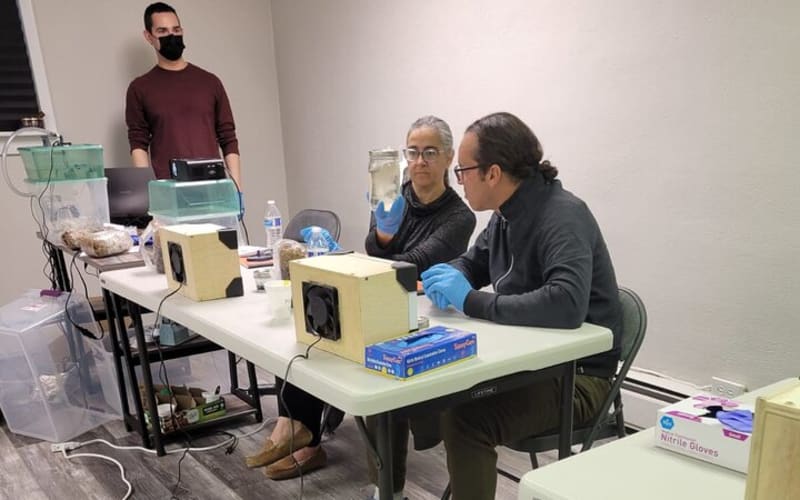 Mushroom Growing Workshop - main image
