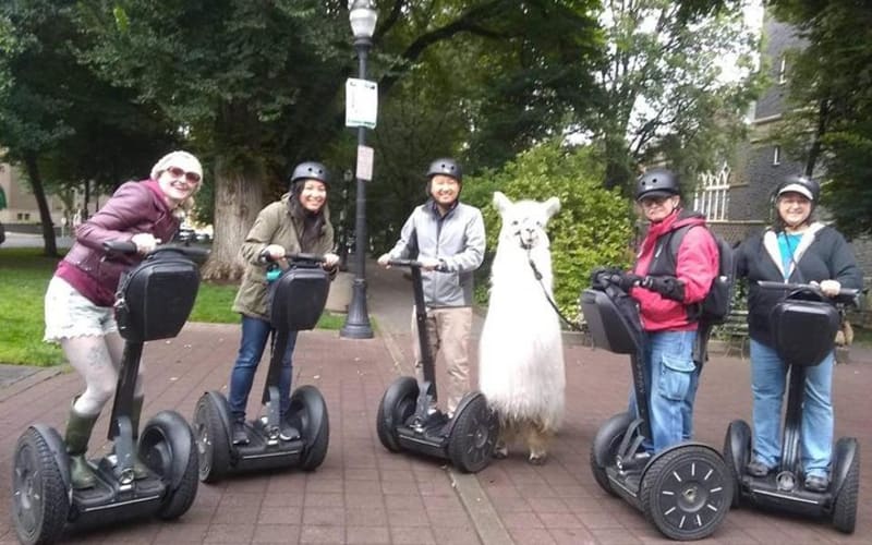 2 Hour Guided Segway Tour - main image