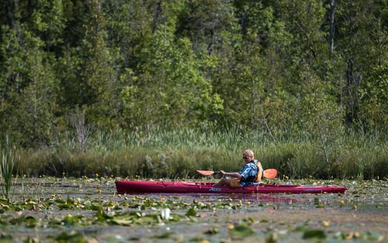 Door County Wetlands Kayak Tour - main image