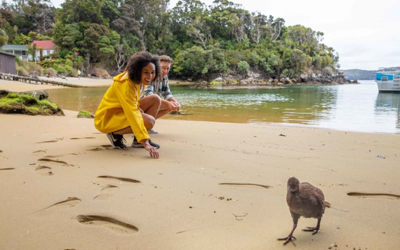 Stewart Island: Ulva Island Guided Wilderness Walk & Cruise - main image