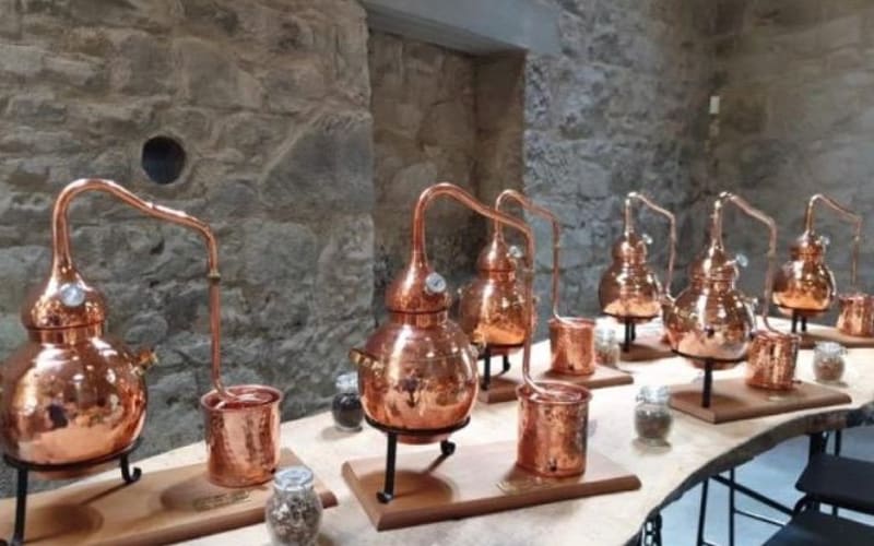 The Old Smiddy Gin School - main image