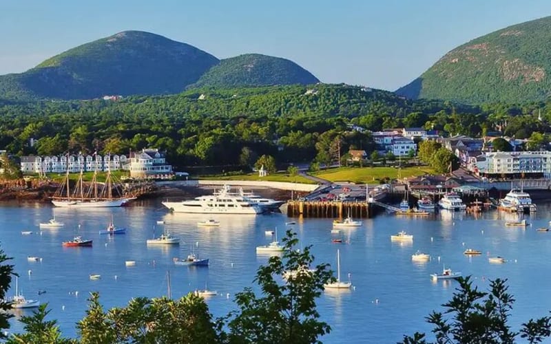 Best of Bar Harbor: 2-Hour Guided Food Walking Tour - main image