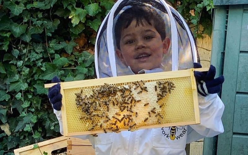 Discover active beehives in London - main image