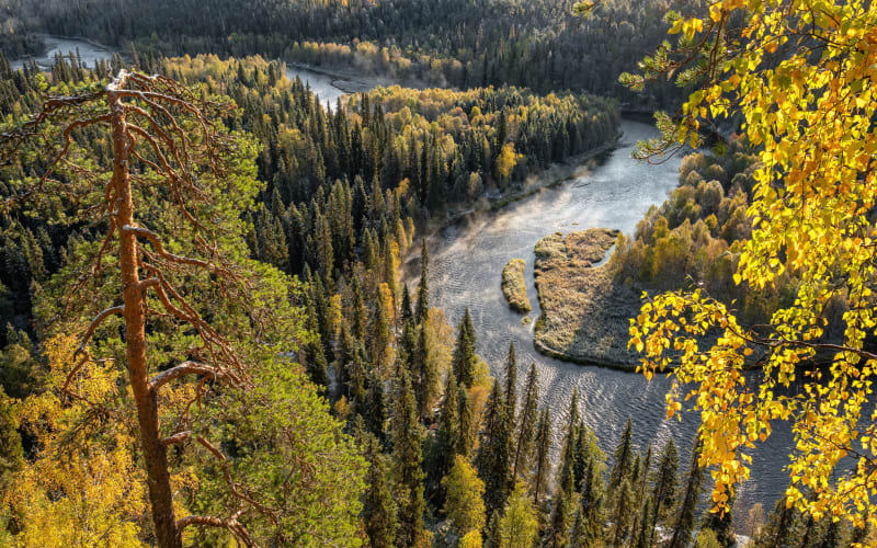 From Rovaniemi: Oulanka National Park Wilderness Hike - main image