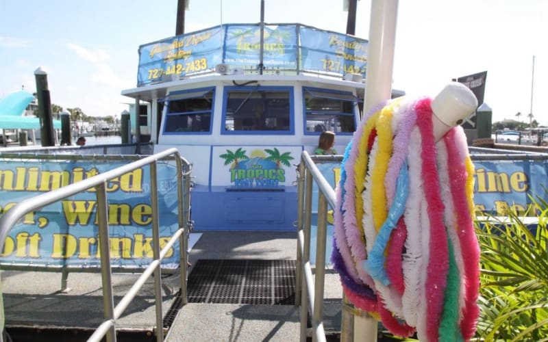 Dolphin Encounter Boat Cruise at Clearwater Beach - main image