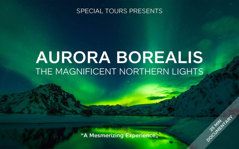 From Reykjavik: Northern Lights Cruise with Backup Plan & Retry - main image