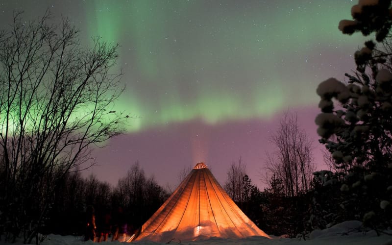 From Alta: Northern Lights Hunt by Minivan - main image