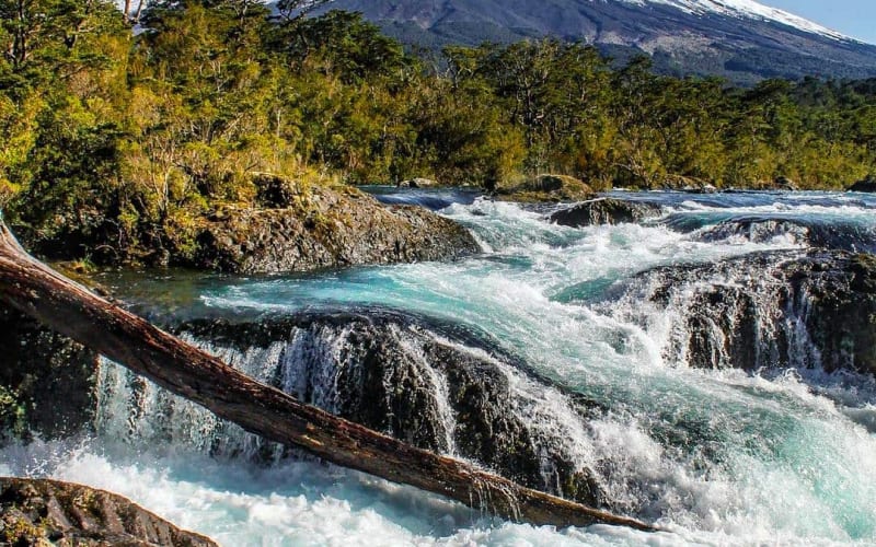 Parque Nacional Villarrica Norte - main image