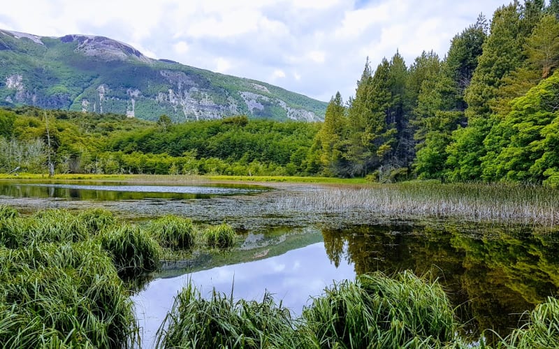 Reserva Nacional Coyhaique - main image