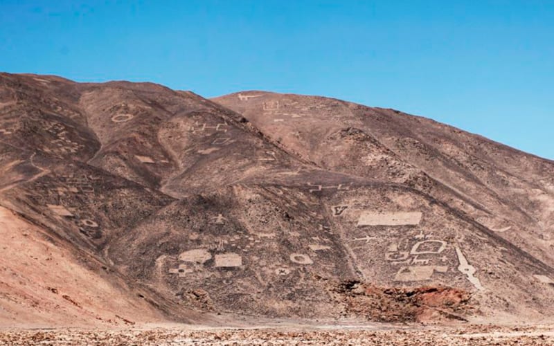 Reserva Nacional Pampa del Tamarugal - main image