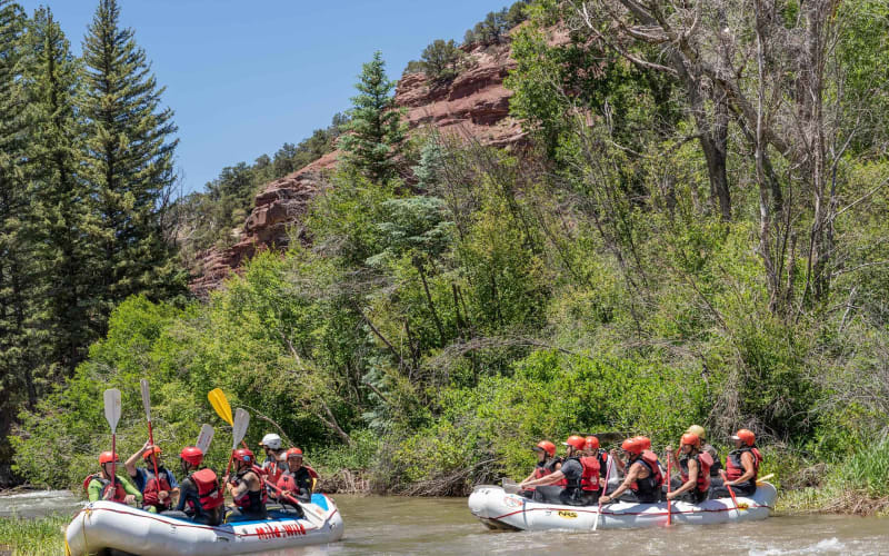 Telluride Afternoon Half Day Rafting Trip - San Miguel River - main image