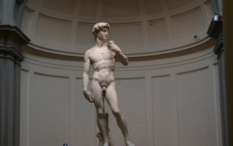 Accademia Gallery Tour: The Secrets of David - Skip-the-line (Florence, IT)  - main image