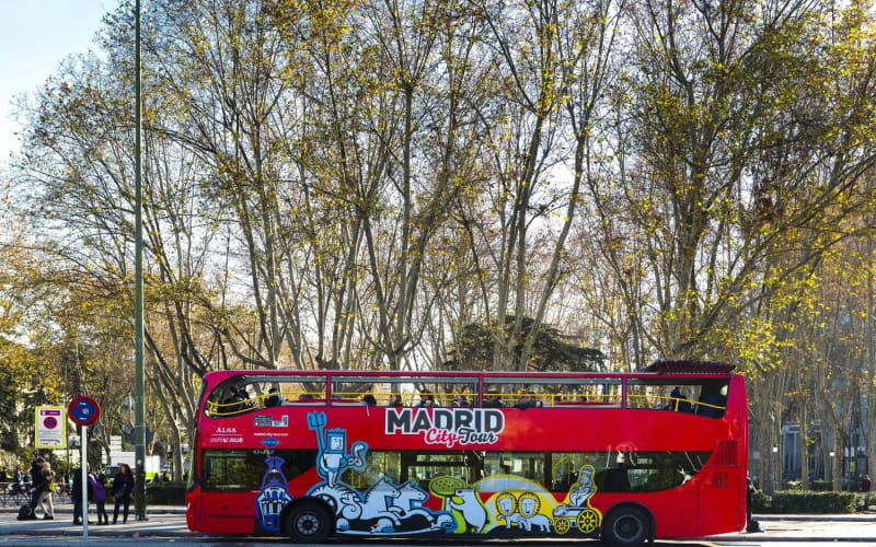 Hop-on-hop-off Bus Tour (Madrid, ES) - main image